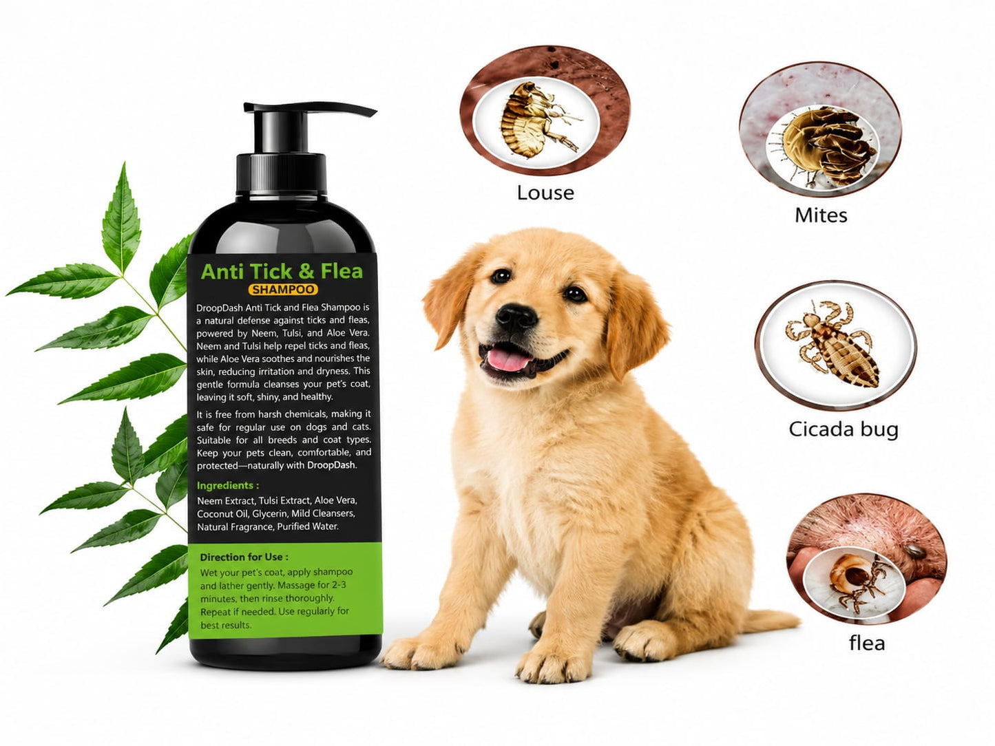 🐾 Anti-Tick & Flea Combo for Dogs & Cats